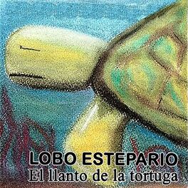 Album cover of El Llanto de la Tortuga
