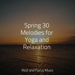 Album cover of Complete Stress Relief Mix