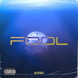 Album cover of FOOL