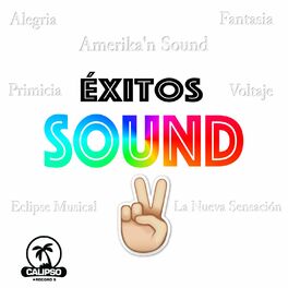 Album cover of Éxitos Sound 2