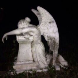 Album cover of Morgue