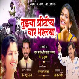 Album cover of Tujya Pritich Waar Bharlaya