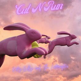 Album cover of Cut N' Run