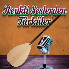 Album cover of Renkli Seslerden Türküler