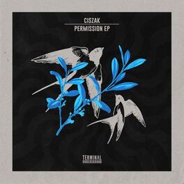 Album cover of Permission