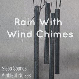 Album cover of Rain With Wind Chimes