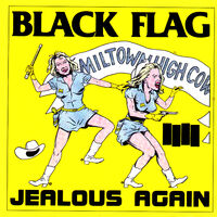 Flag black BLACK FLAG