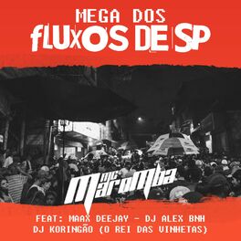 Album cover of Mega dos Fluxos de Sp