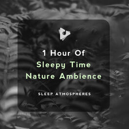 Album cover of 1 Hour of Sleepy Time Nature Ambience