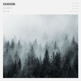 Album cover of Vella