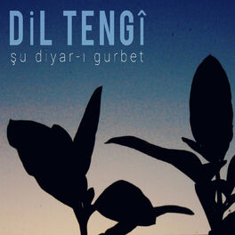 Album cover of Şu Diyar-ı Gurbet