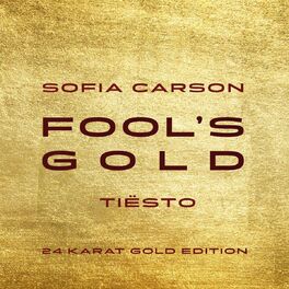 Album cover of Fool's Gold (Tiësto 24 Karat Gold Edition)
