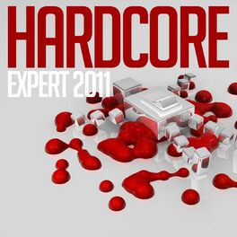 Album cover of Hardcore Expert 2011