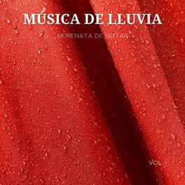 Album cover of Música De Lluvia: Serenata De Gotas Vol. 1