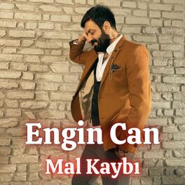 Album cover of Mal Kaybı