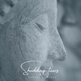 Album cover of Shedding Tears