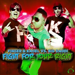 Album cover of Fight for Your Right (The Remixes)