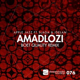 Album picture of Amadlozi (Boet Quality Remix)