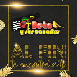 Album cover of Al Fin Te Encontre a Ti