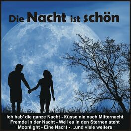 Album cover of Die Nacht ist schön