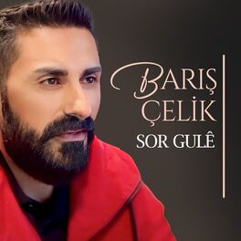 kedi kız filmi vk com ücretlimi
