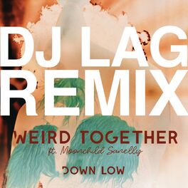 Album cover of Down Low (DJ Lag Remix Extended) (feat. Moonchild Sanelly)