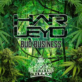 Album cover of Bud Business