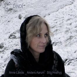 Album cover of Dindi