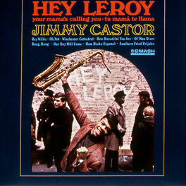 Album cover of Hey Leroy