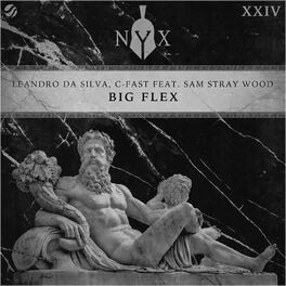 Album cover of Big Flex
