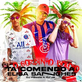 Album cover of O Gordinho Bololo, Ta Comendo a Elisa Sanches