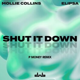 Album cover of Shut It Down (P Money Remix)