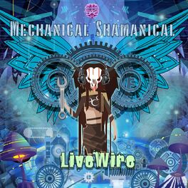 Album cover of Mechanical Shamanical