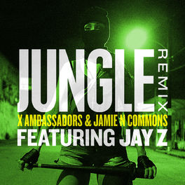 Album cover of Jungle (Remix)
