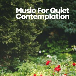 Album cover of Music for Quiet Contemplation