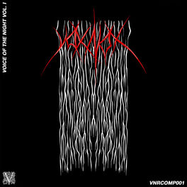 Album cover of Voice Of The Night Vol. 1