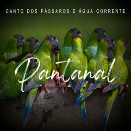 Album cover of Pantanal - Canto Dos Pássaros e Água Corrente