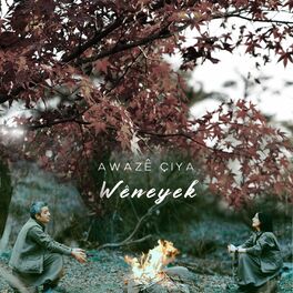 Album cover of Wêneyek