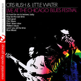 Album cover of Live at the Chicago Blues Festival (Digitally Remastered)