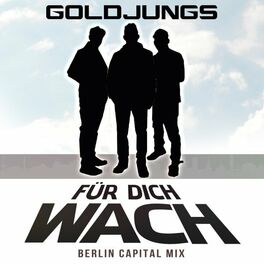Album cover of Für dich wach (Berlin Capital Mix)