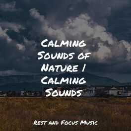 Album cover of Calming Sounds of Nature | Calming Sounds