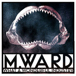 Album cover of What a Wonderful Industry