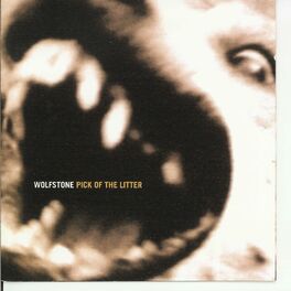 Album cover of Pick of the Litter