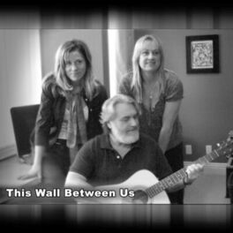 Album cover of This Wall Between Us