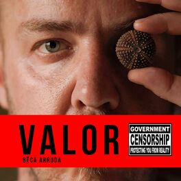 Album cover of Valor