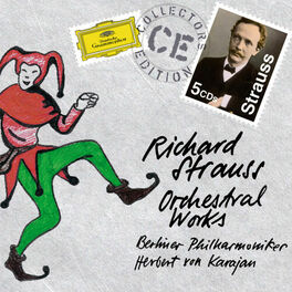 Album cover of Strauss, R.: Orchestral Works