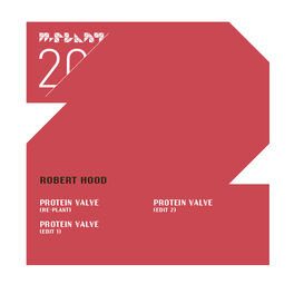 Album cover of Protein Valve (Re-Plant / Edits)