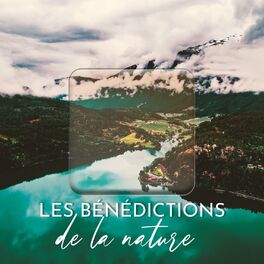 Album cover of Les bénédictions de la nature: Sons terrestres de l'eau et des oiseaux pour apaiser votre système nerveux et calmer votre anxiété