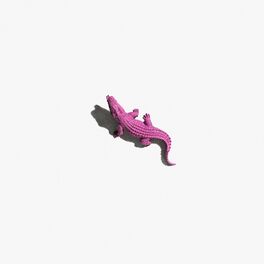 Album cover of Pink Alligator