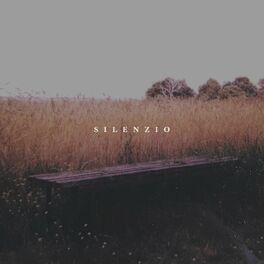 Album cover of Silenzio